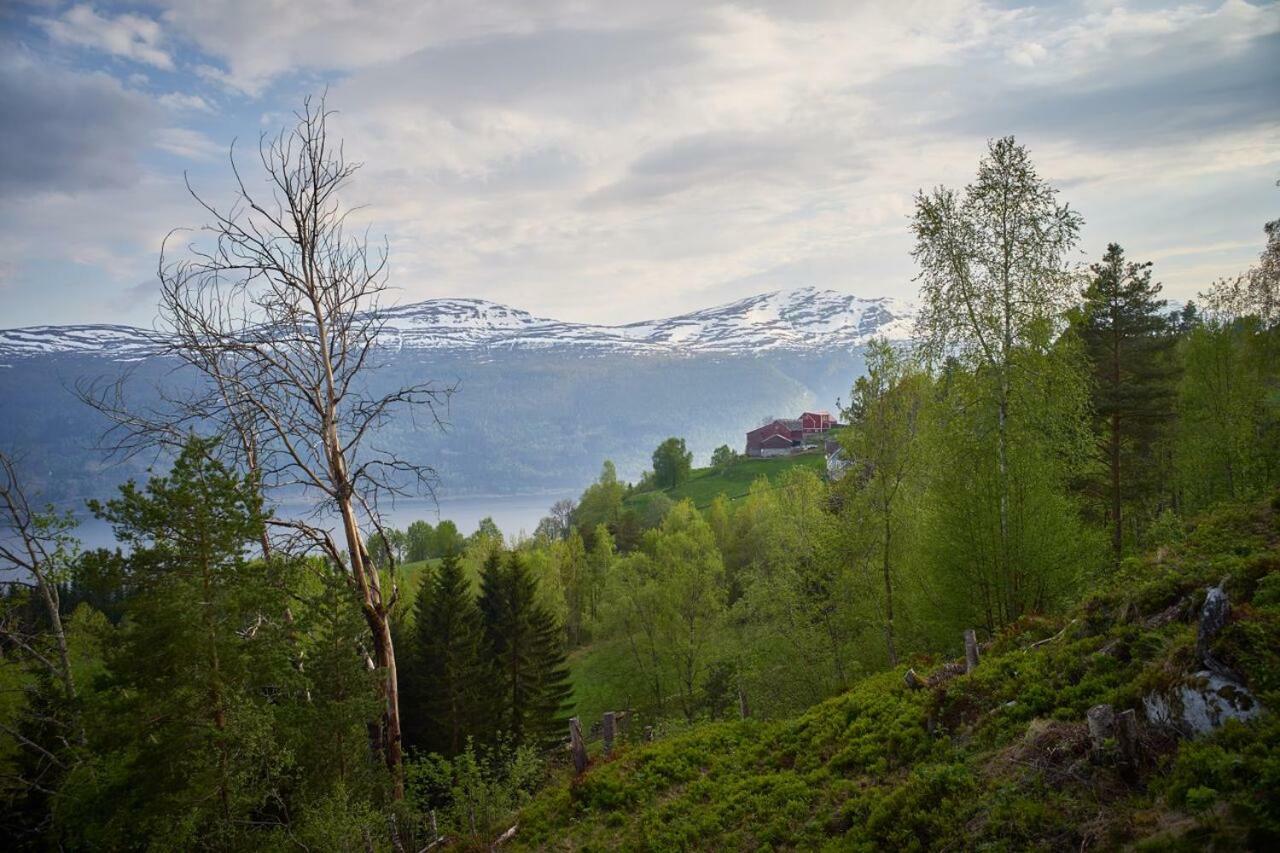 Panorama View Along The Fjord In Stryn Villa Blakset Exterior photo